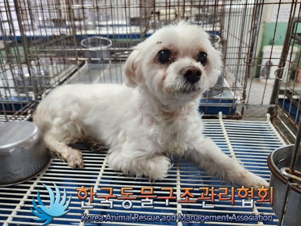 한국동물구조관리협회_411309202300388